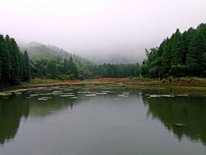 《送给那些想知道我们的人》