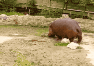 经验 | 越野跑比赛有哪些常备OTC（非处方药）