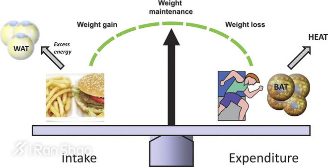 观点 | 为什么要在冬季坚持跑步