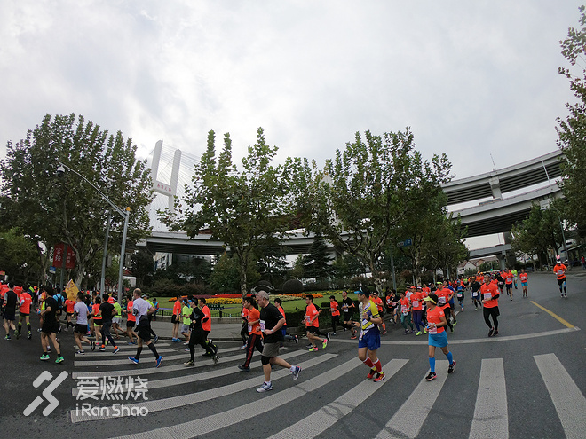 一起上马：用我所爱的方式，跑出我所爱