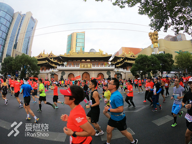 一起上马：用我所爱的方式，跑出我所爱
