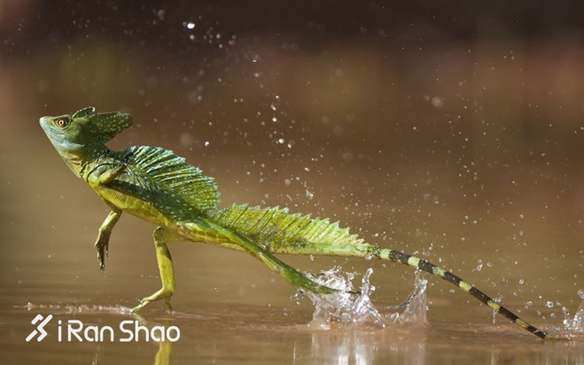 经验 | 如何修炼你的“跑步内功”