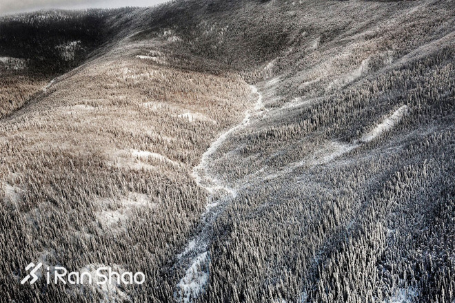 北美超马故事 | 进入梦幻之境