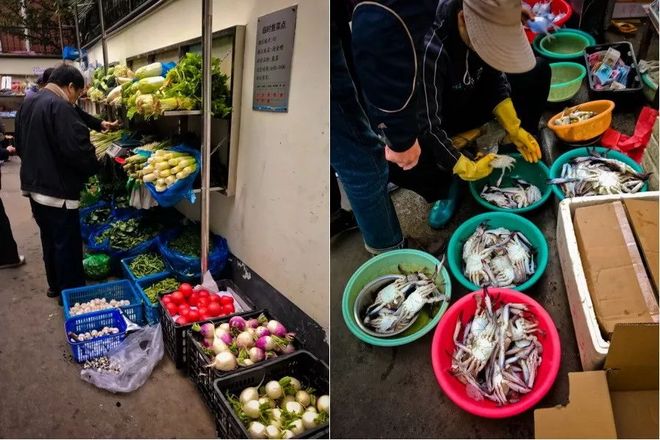 霞飞路的梧桐时光——上马城记