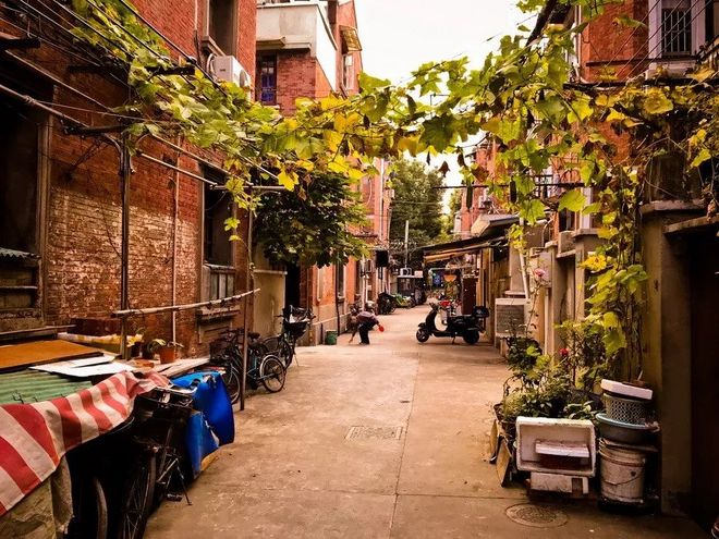 霞飞路的梧桐时光——上马城记