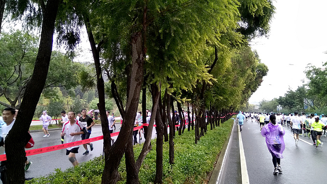 热点 | 厦门海沧国际半程马拉松 一场拿高分的独立赛事