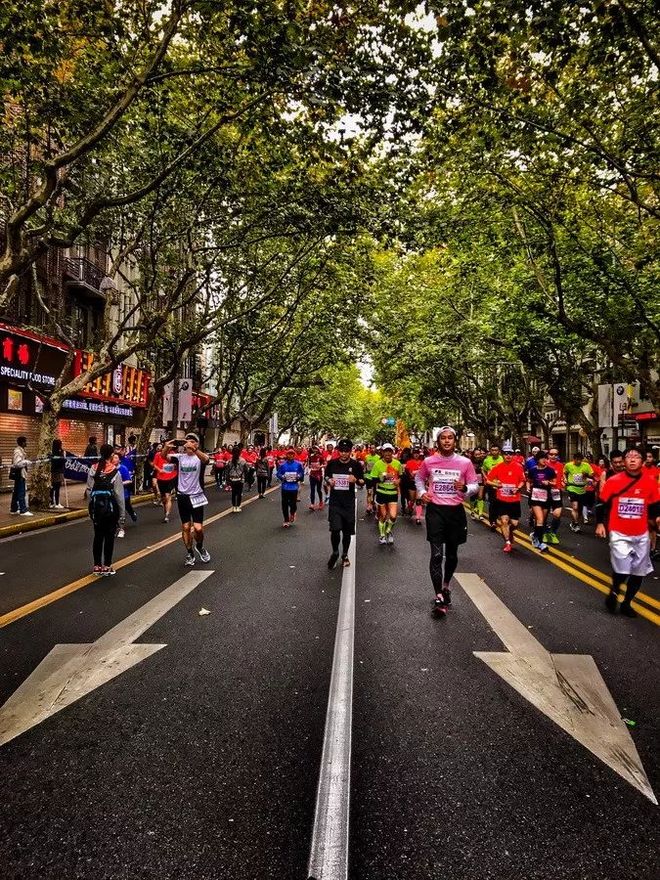 霞飞路的梧桐时光——上马城记