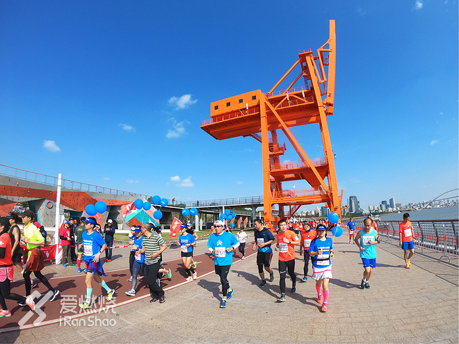 一起上马：用我所爱的方式，跑出我所爱