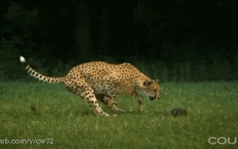 训练 | 为了好好跑步 你要解决跑步时可能会遇到的那些尴尬事