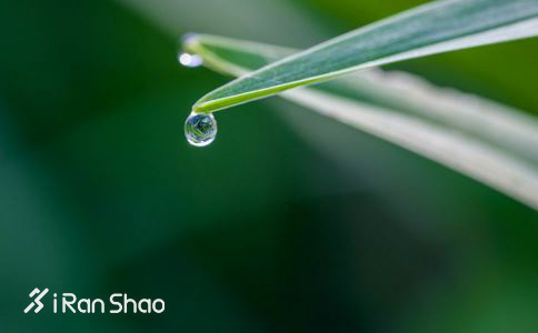 数据 | 2017年10月爱燃烧赛事平台数据分析