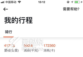 有梦就去追 想跑就去飞