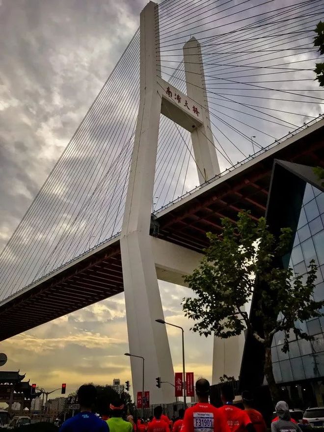 霞飞路的梧桐时光——上马城记