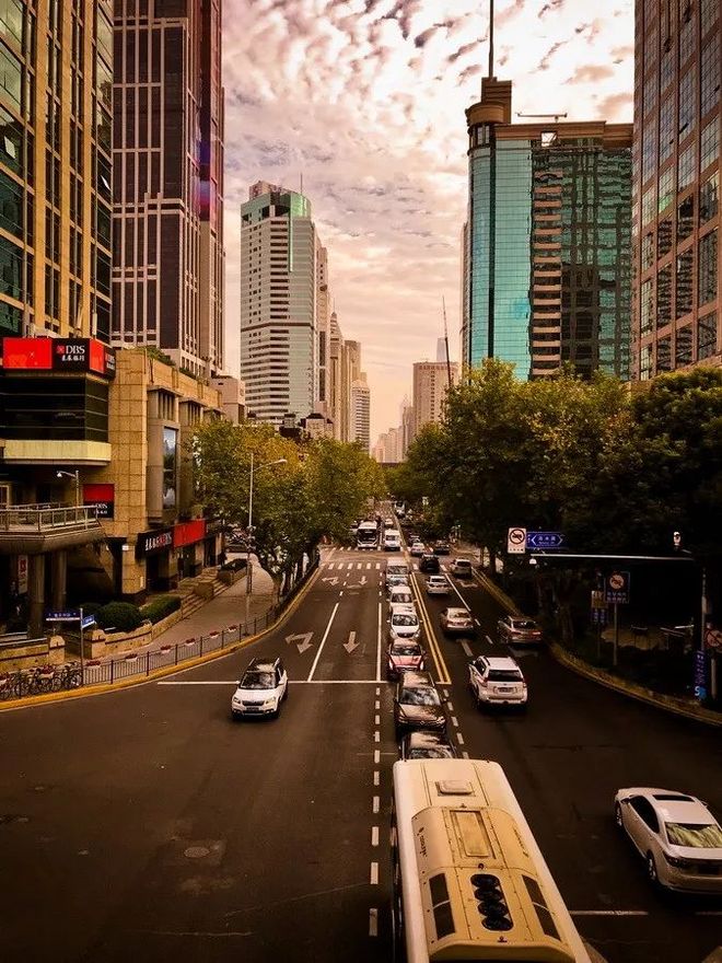 霞飞路的梧桐时光——上马城记