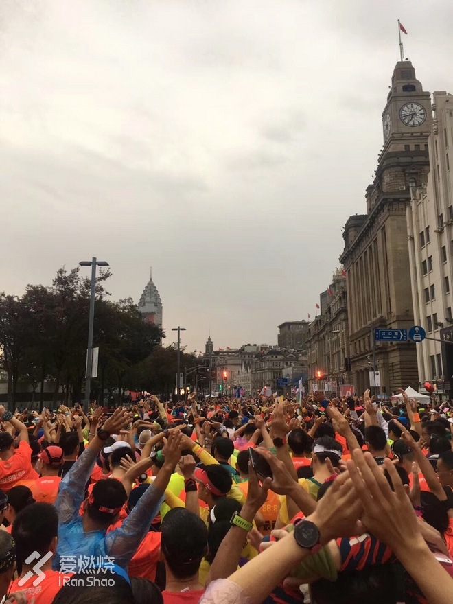 兔子伴我跑上马，一路看尽上海滩