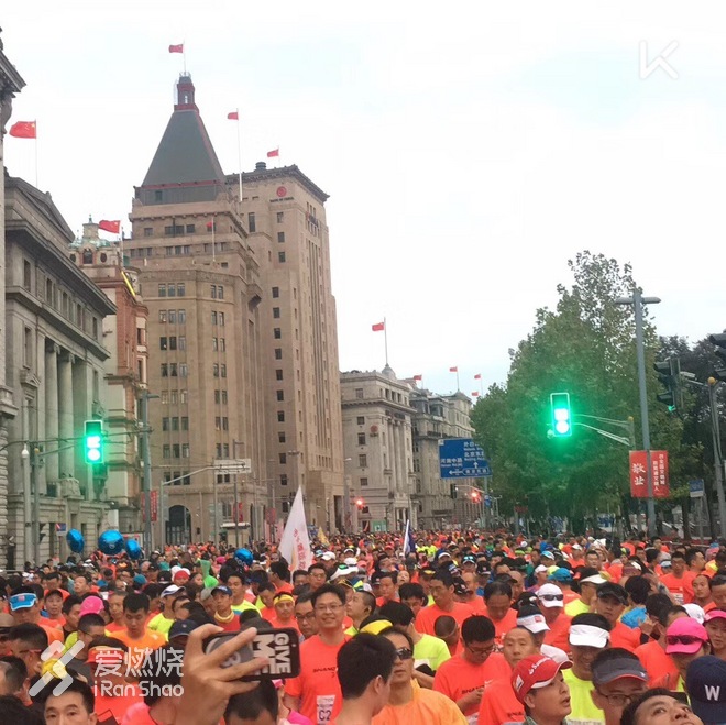 兔子伴我跑上马，一路看尽上海滩