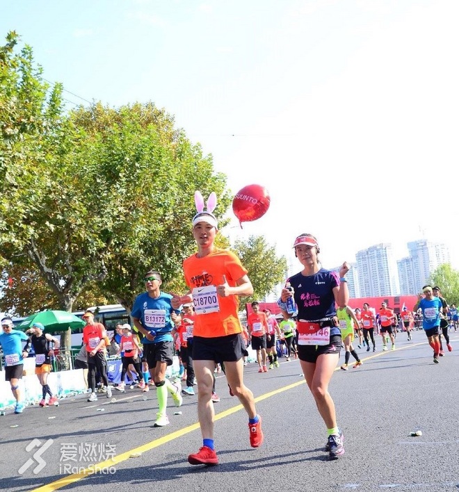 兔子伴我跑上马，一路看尽上海滩