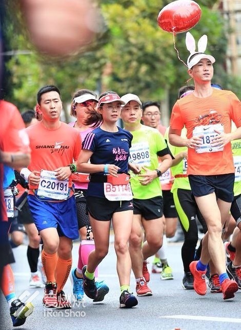 兔子伴我跑上马，一路看尽上海滩