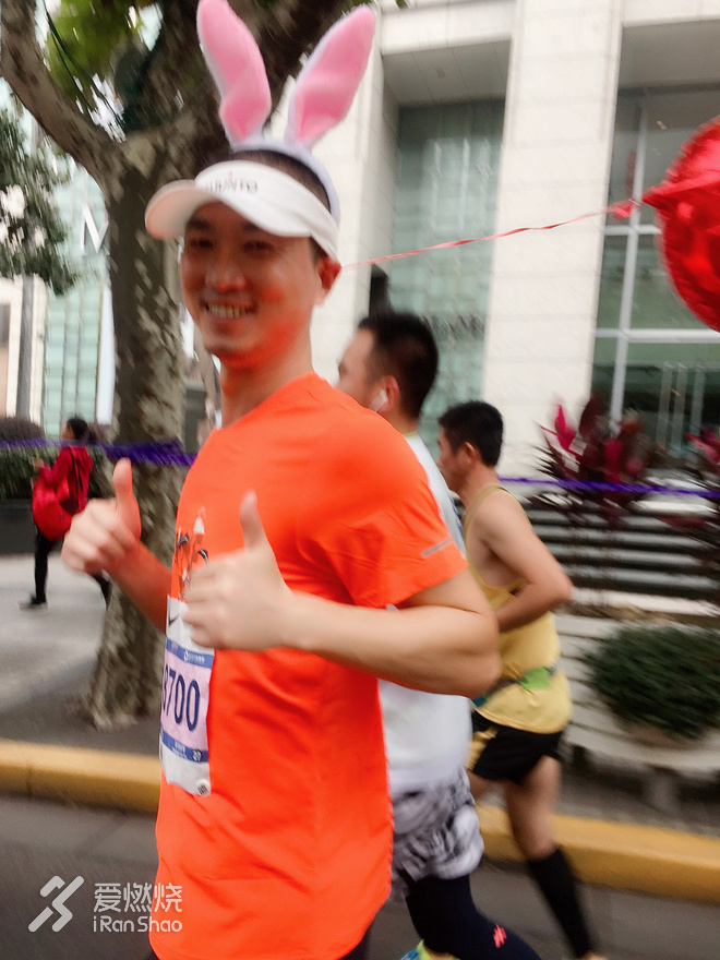 兔子伴我跑上马，一路看尽上海滩