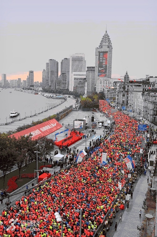 兔子伴我跑上马，一路看尽上海滩