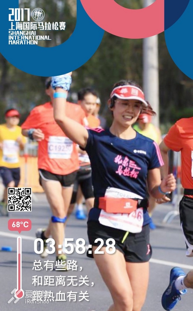 兔子伴我跑上马，一路看尽上海滩