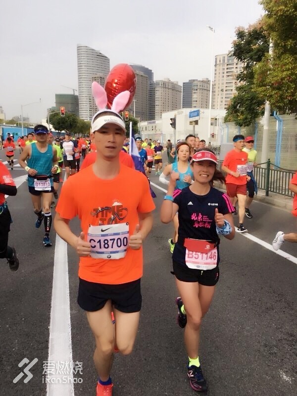 兔子伴我跑上马，一路看尽上海滩