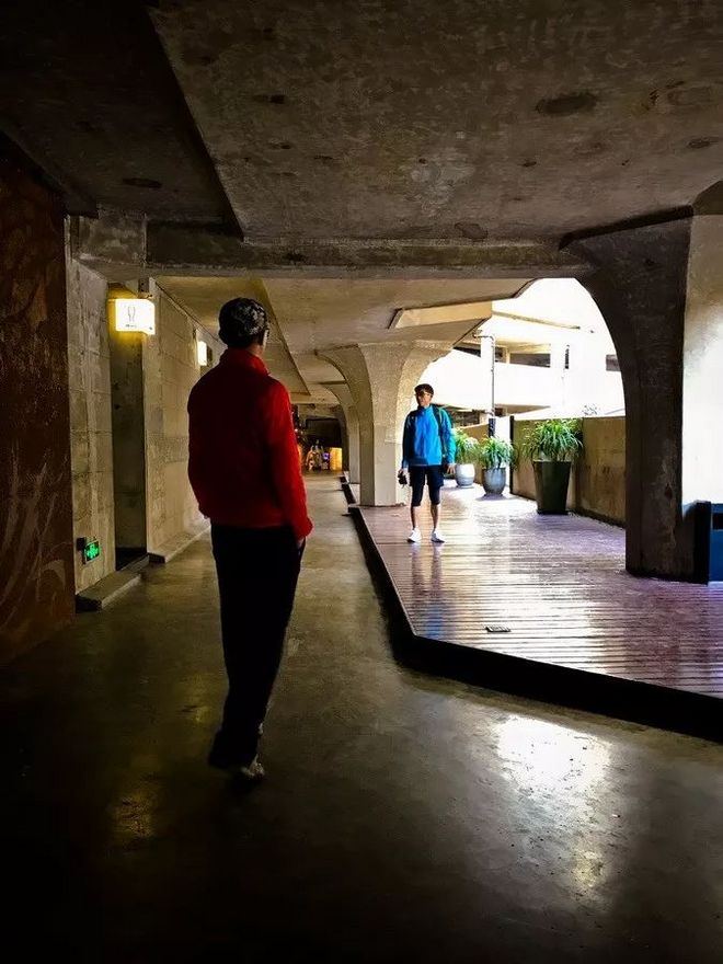 霞飞路的梧桐时光——上马城记