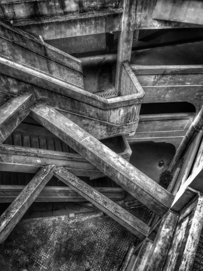 霞飞路的梧桐时光——上马城记