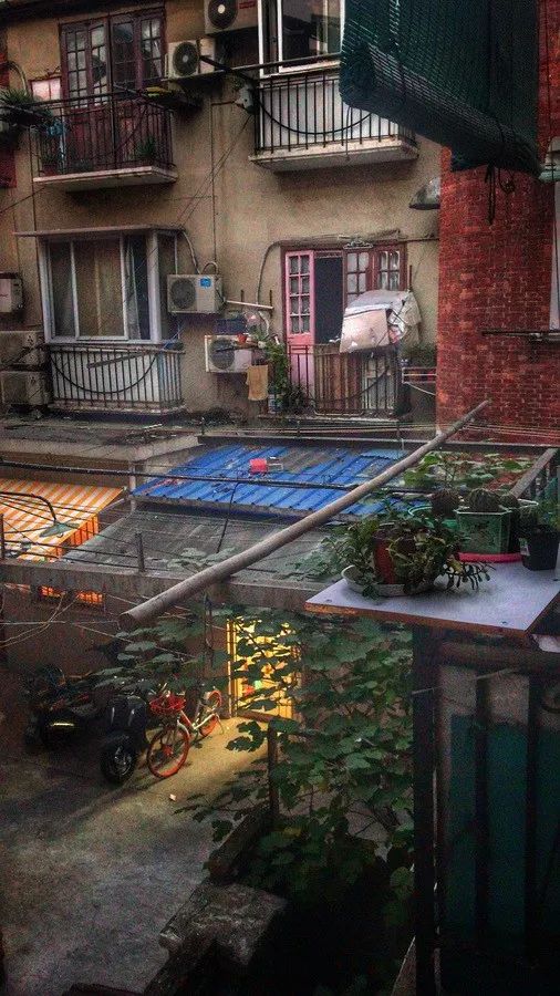 霞飞路的梧桐时光——上马城记