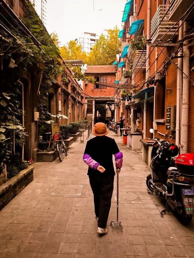 霞飞路的梧桐时光——上马城记