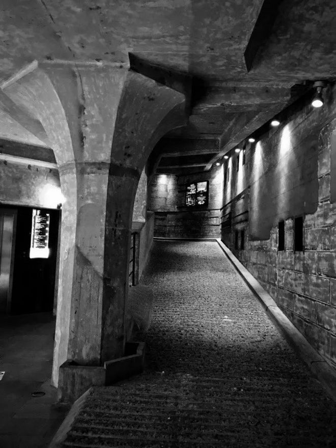 霞飞路的梧桐时光——上马城记