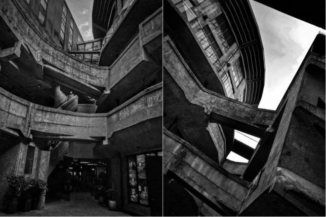 霞飞路的梧桐时光——上马城记