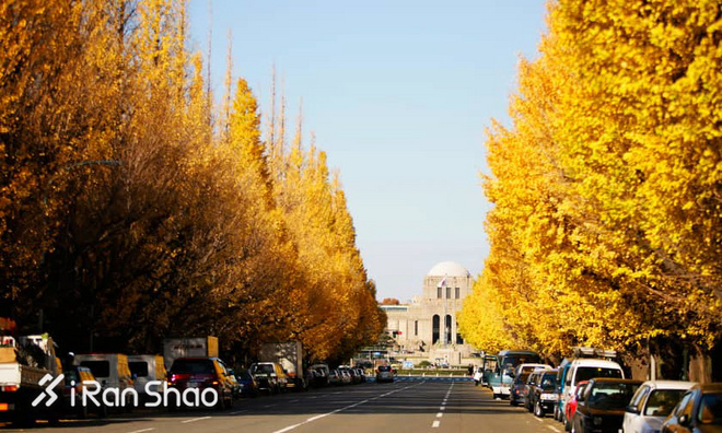 TopX | 备战世界上最好的马拉松 「一个人去跑步」丈量东京