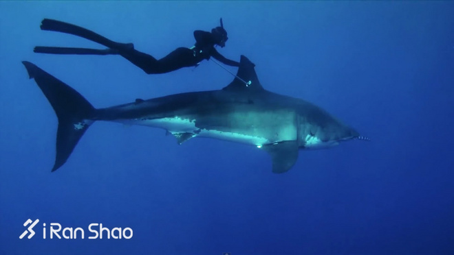 Weekly Gear | 任性的Patagonia 做一个有社会责任感的户外品牌