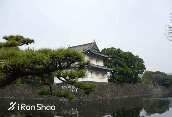 TopX | 备战世界上最好的马拉松 「一个人去跑步」丈量东京