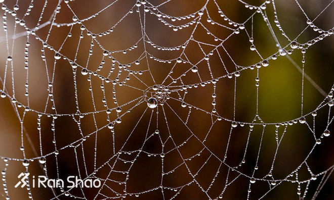 Weekly Gear | 任性的Patagonia 做一个有社会责任感的户外品牌