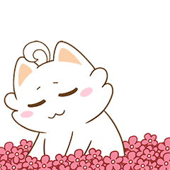 女王跑年度收官之作@”智航杯“2017泰州首届国际半程马拉松今天祥丽开跑、圆满收官