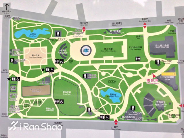 TopX | 备战世界上最好的马拉松 「一个人去跑步」丈量东京