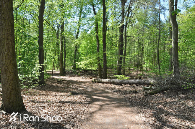 TopX | 「六大马」欧洲之旅 在伦敦和柏林旅行式跑步