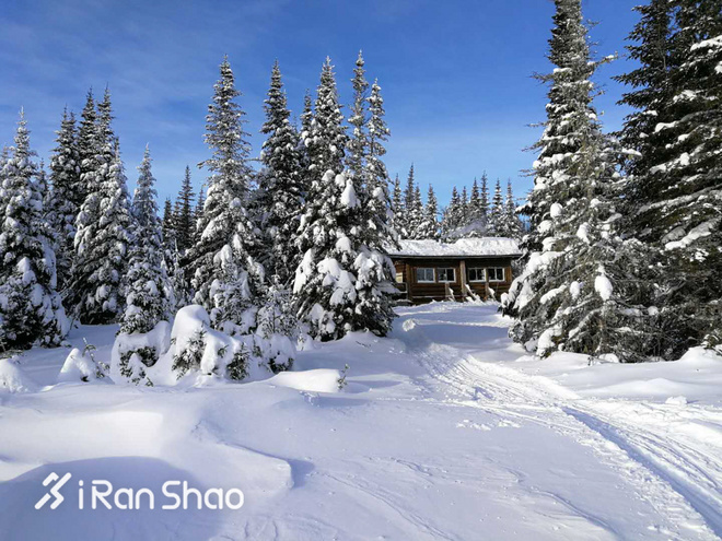 北美超马故事 | Love Alive