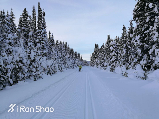 北美超马故事 | Love Alive