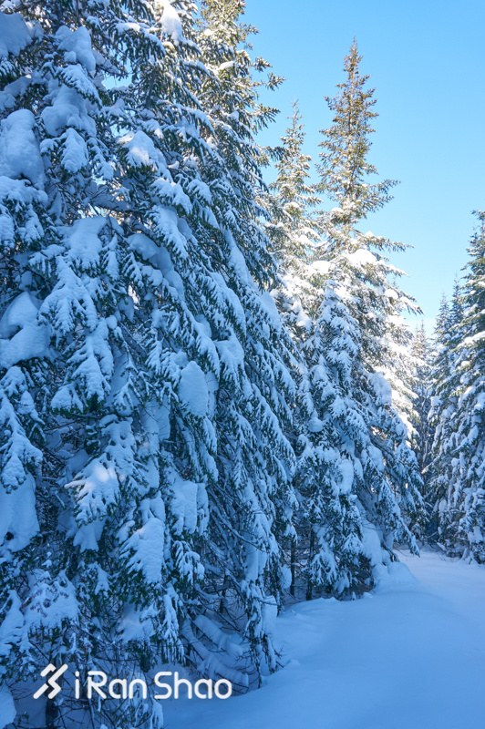 北美超马故事 | Love Alive