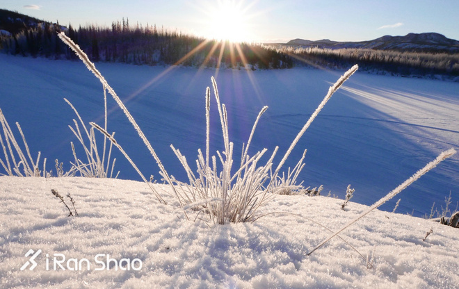 北美超马故事 | Love Alive