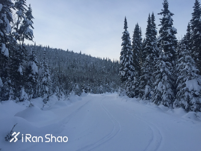 北美超马故事 | Love Alive