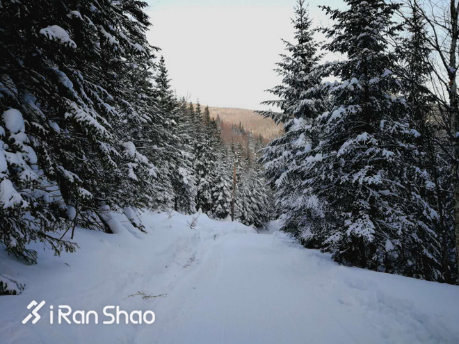 北美超马故事 | Love Alive