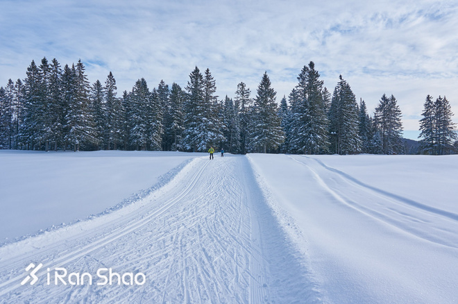 北美超马故事 | Love Alive