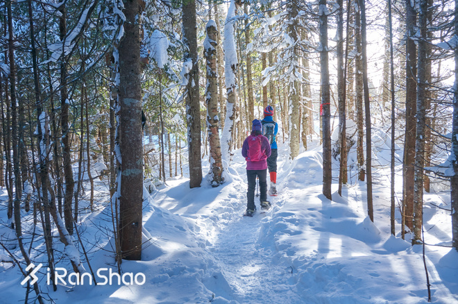 北美超马故事 | Love Alive