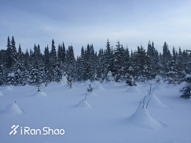 北美超马故事 | Love Alive