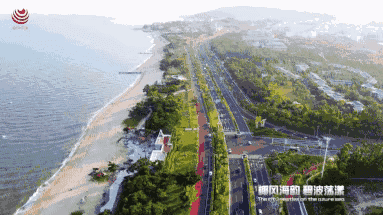 风雨厦马·奔跑到底——2018，我和厦马的风雨相约