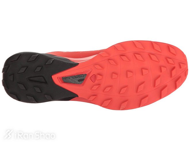 跑鞋战力榜 Vol.09 | 港百跑鞋特辑 迪拜马4%险胜