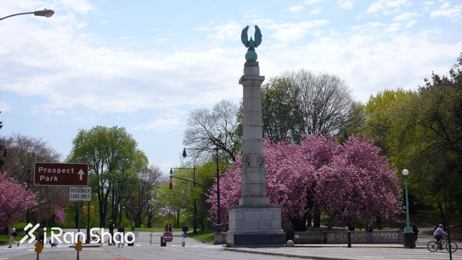 TopX | 「六大马」美国之旅 寻觅纽约和波士顿的跑步路线